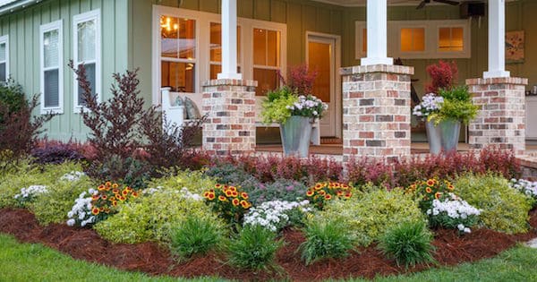 A Lively Carefree Garden Anywhere You Please Southern Living Plants A lively carefree garden anywhere you please southern living plants