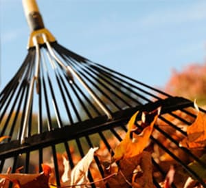 Composting – from the kitchen to the garden