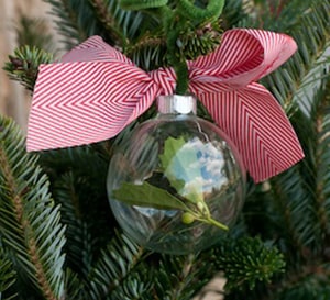 Day 11: Eleven Piped Ornaments