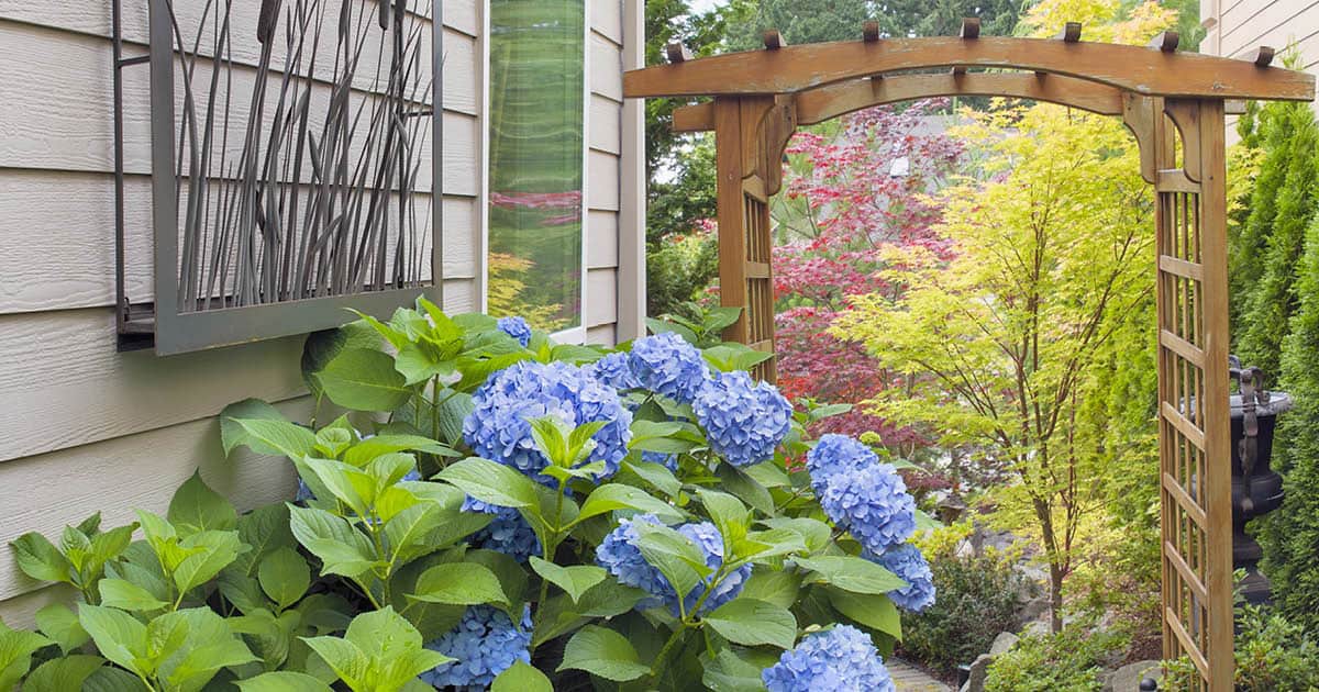 Exposure Challenge Designing Gardens that Transition Between Sun and Shade Southern Living Plants