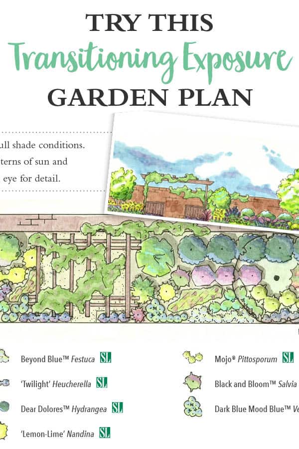 Exposure Challenge Designing Gardens that Transition Between Sun and Shade Southern Living Plants