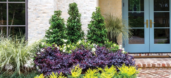It’s all in the design | Southern Living Plants