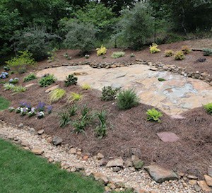 Hillside Gardening