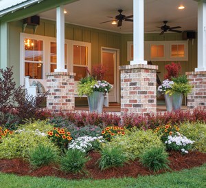 A Lively, Carefree Garden Anywhere You Please | Southern ...