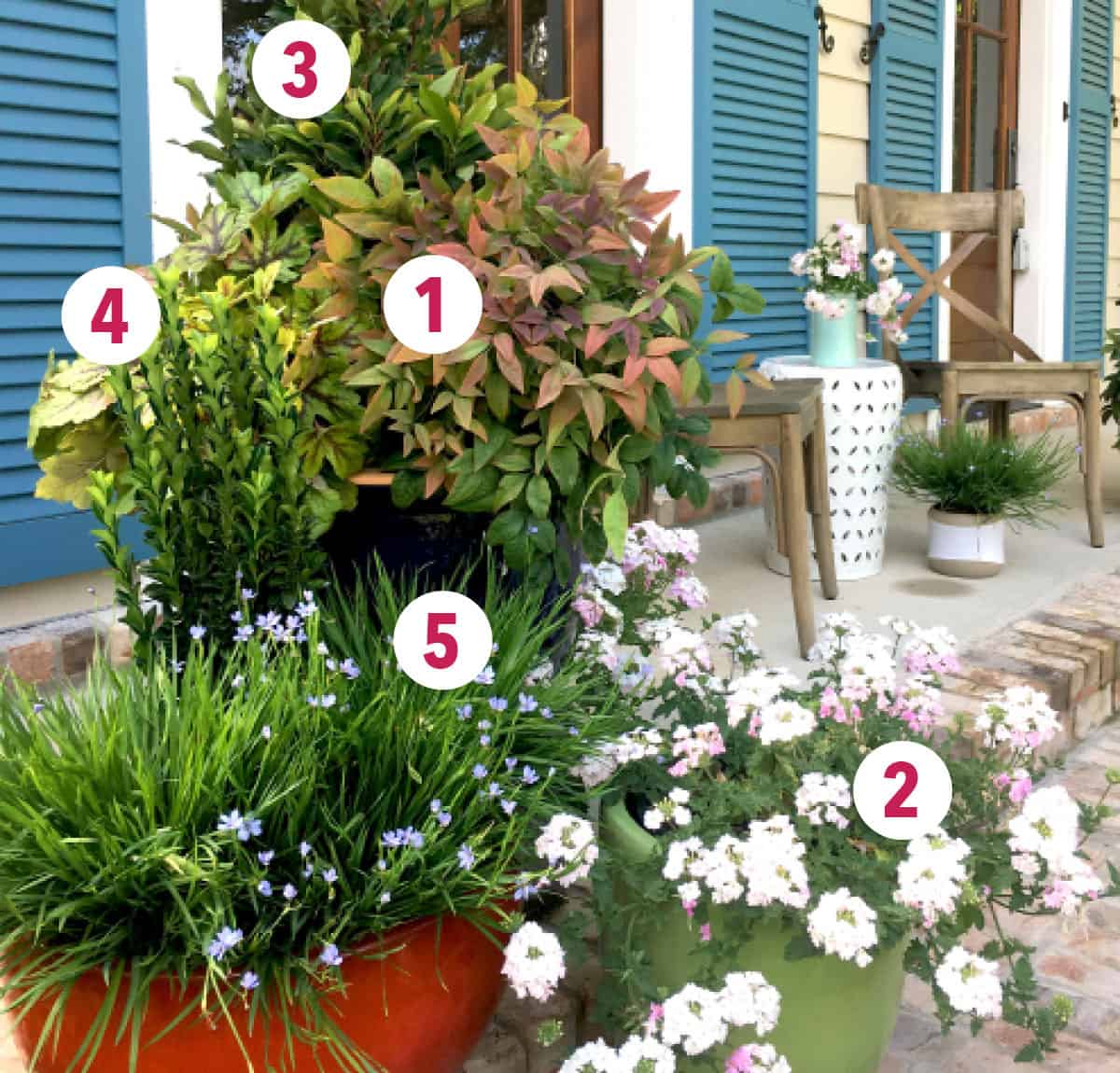 Plant combinations Set the Mood container combo