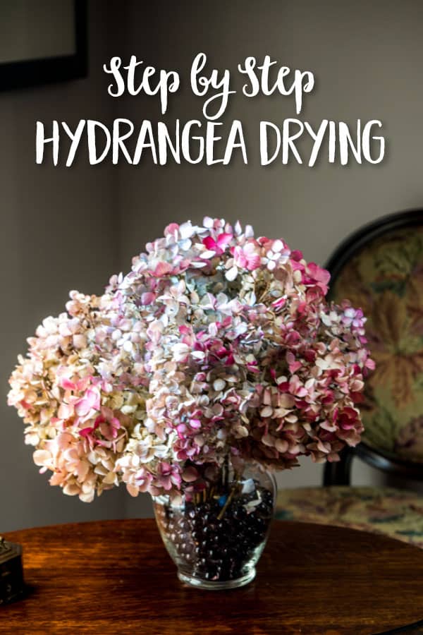 StepbyStep Drying Hydrangea Flowers Southern Living Plants