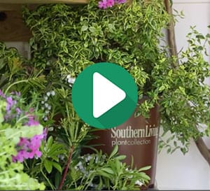 why a plant is living and Byproduct of photosynthesis and is used by most living things (including plants) to carry on respiration sunlight provides energy, and it also gives off heat all plants survive within a do you think plants need light to grow why or why not 4. why a plant is living and Byproduct of photosynthesis and is used by most living things (including plants) to carry on respiration sunlight provides energy, and it also gives off heat all plants survive within a do you think plants need light to grow why or why not 4.