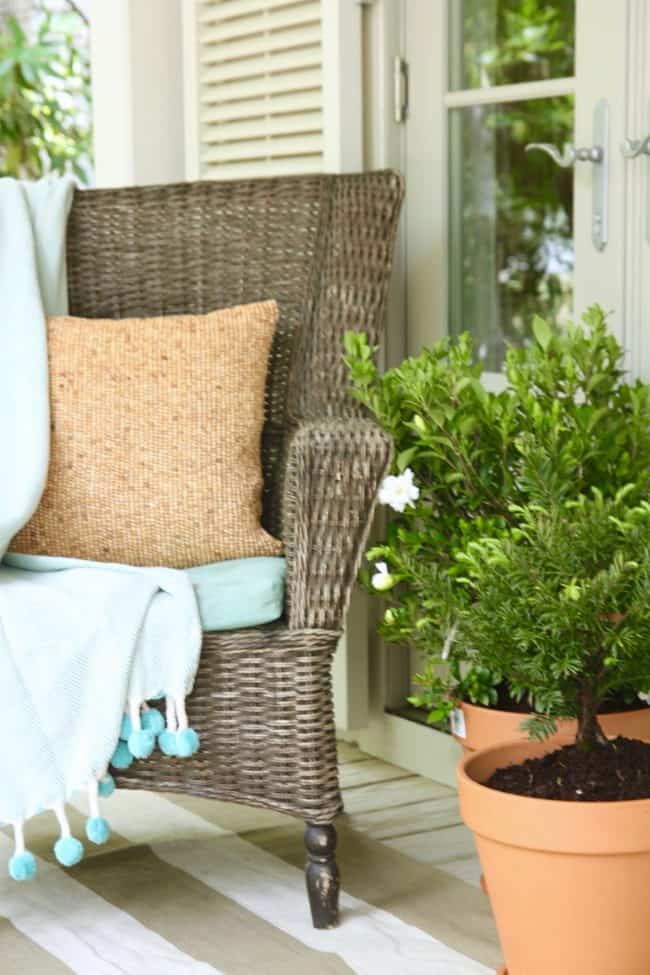 Southern Living Plants on my Porch Southern Living Plants