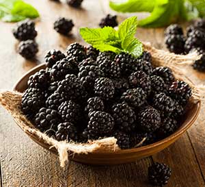 ‘Navaho’ Thornless Blackberry