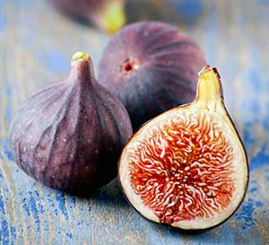 ‘Little Miss Figgy’ Dwarf Fig