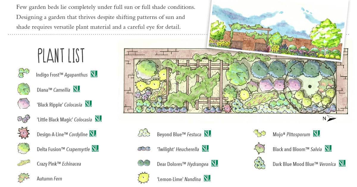 Exposure Challenge: Designing Gardens that Transition Between Sun and ...