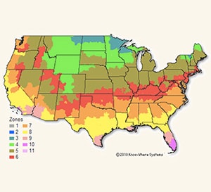 Plant Care | Southern Living Plants