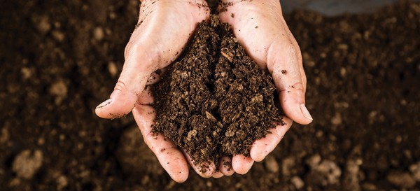 Healthy plants and future harvests begin beneath your feet. Soil texture, nutrients and pH are all critical to a plant’s vigor. 