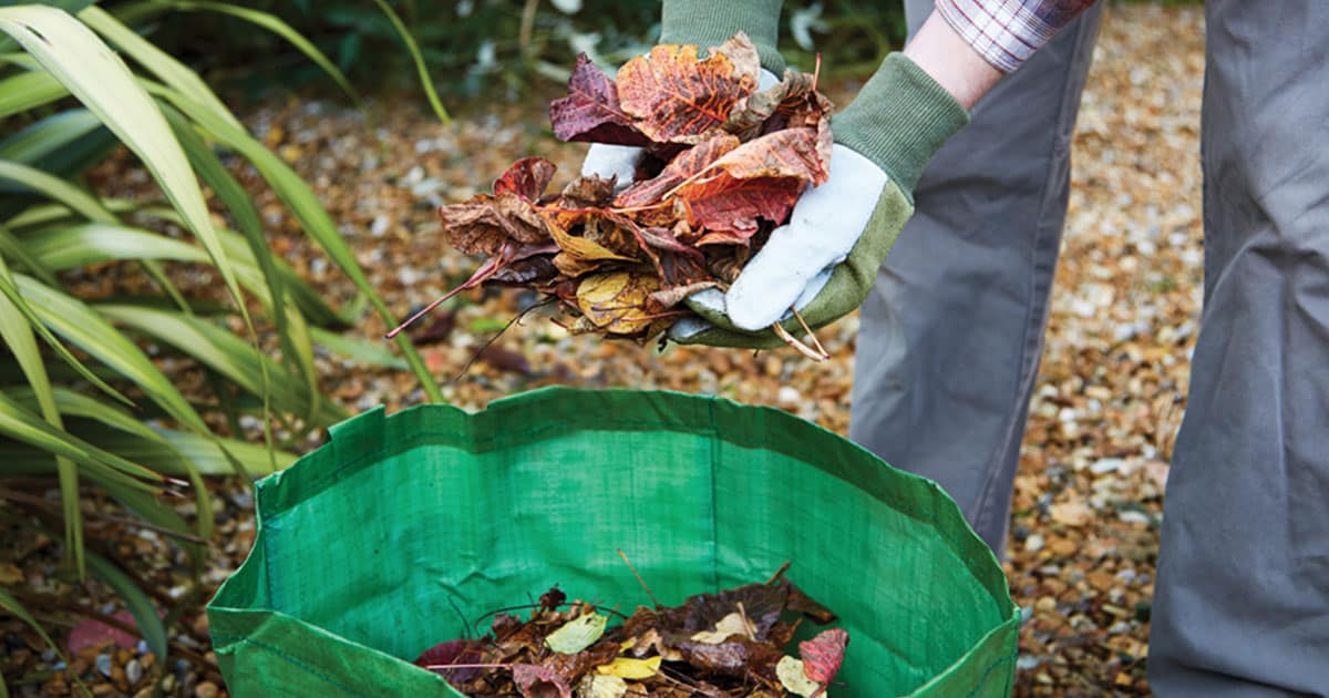 Hands wearing green and white gloves gathering fallen leaves into a green bin to use for mulch