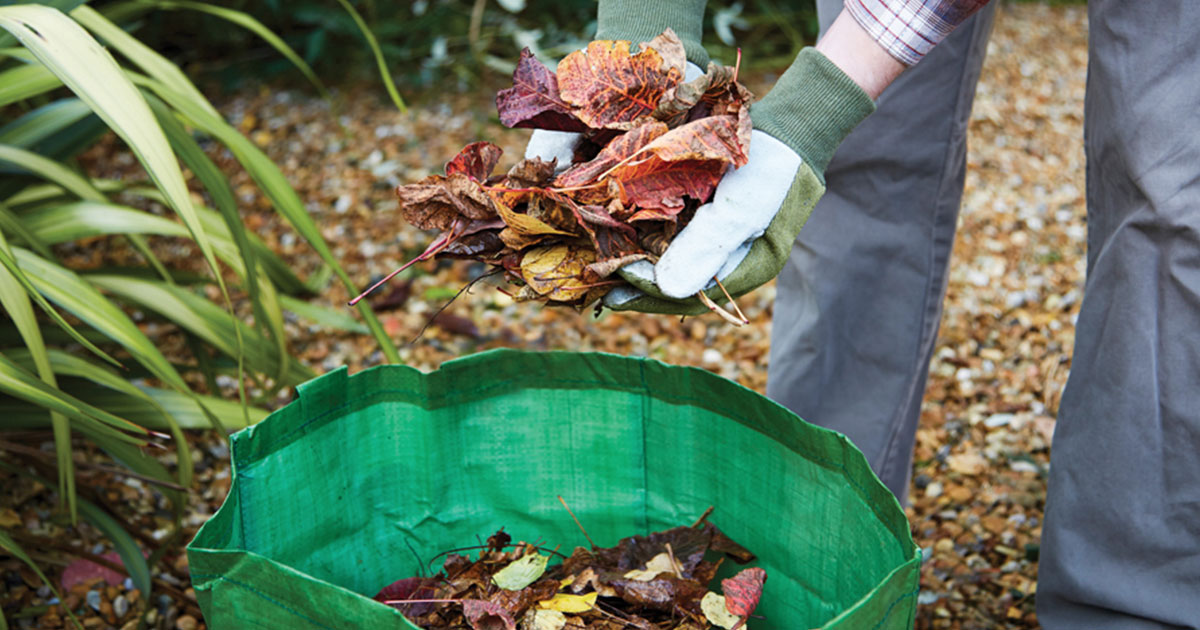 hands holding a bag of old leaves that are to be used as mulch