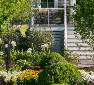 Southern Living Idea House landscaped with Baby Gem Boxwood and annual color