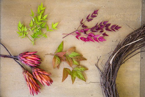 Stems of Southern Living Nandinas and fall foliage laid out on table