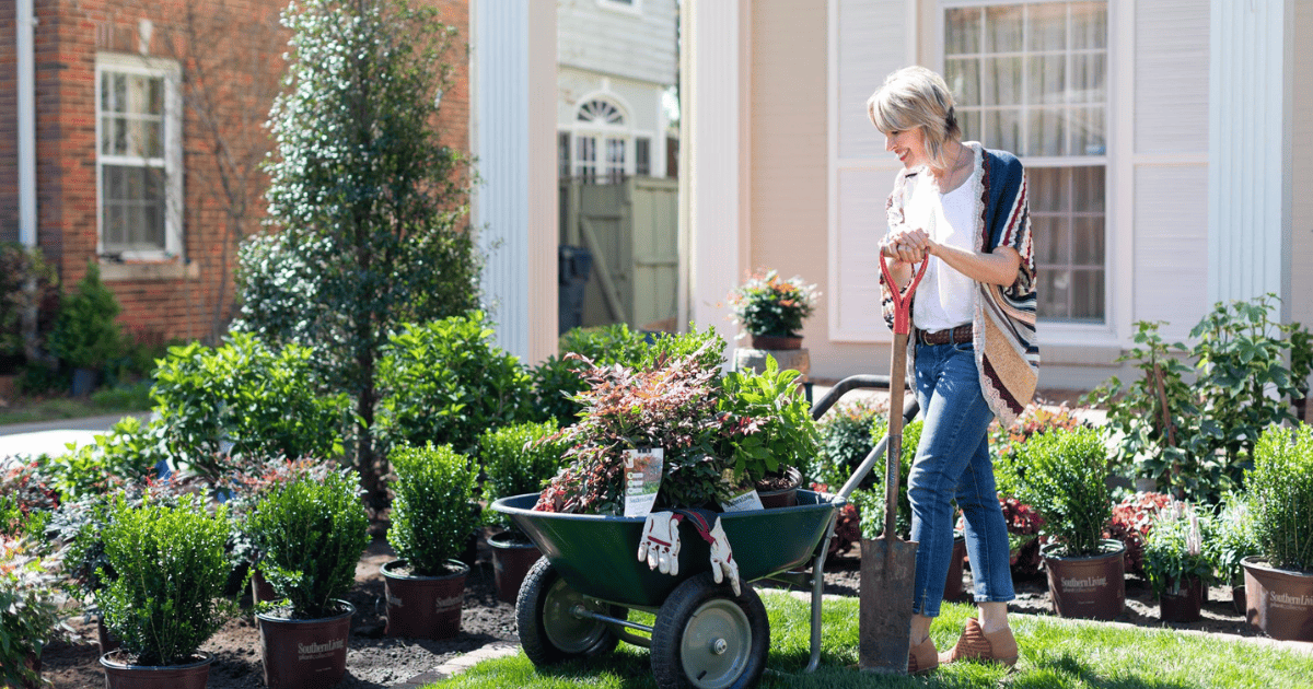 Linda Vater with a shovel and wheelbarrow of plants