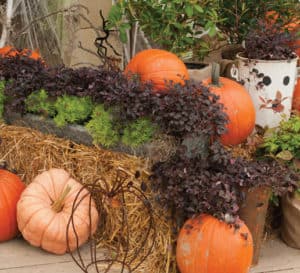 How to Host a Halloween Garden Bash Detach
