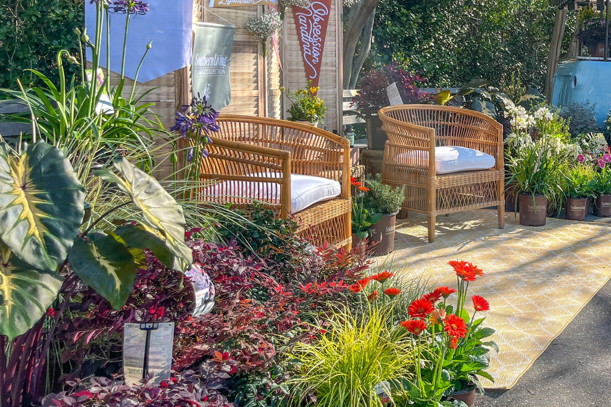 Southern Living Plants Traveling Front Yard setup with plants and home decor