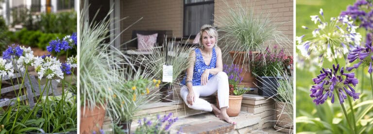 images of purple and white Southern Living agapanthus blooms atop green leafed plants, along with Linda Vater sitting among Platinum Beauty Lomandra plants on a porch