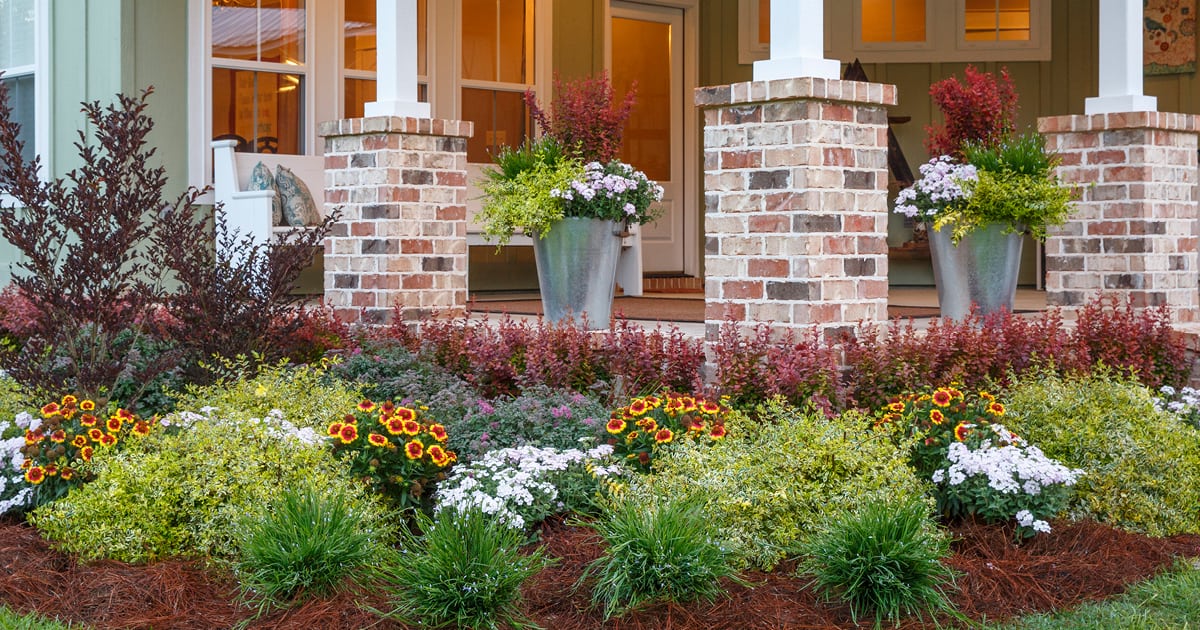 Perennial and Miss Lemon Abelia garden bed around cement patio with brick columns