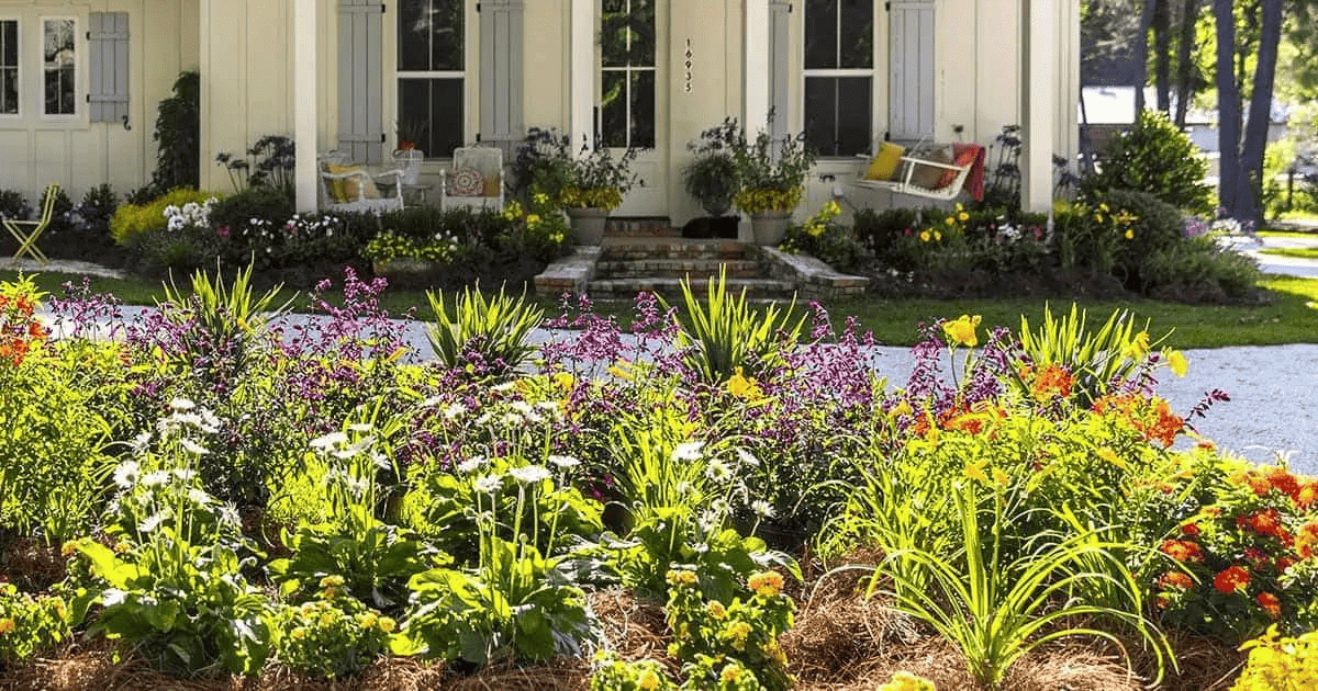 Planted bed of flowers