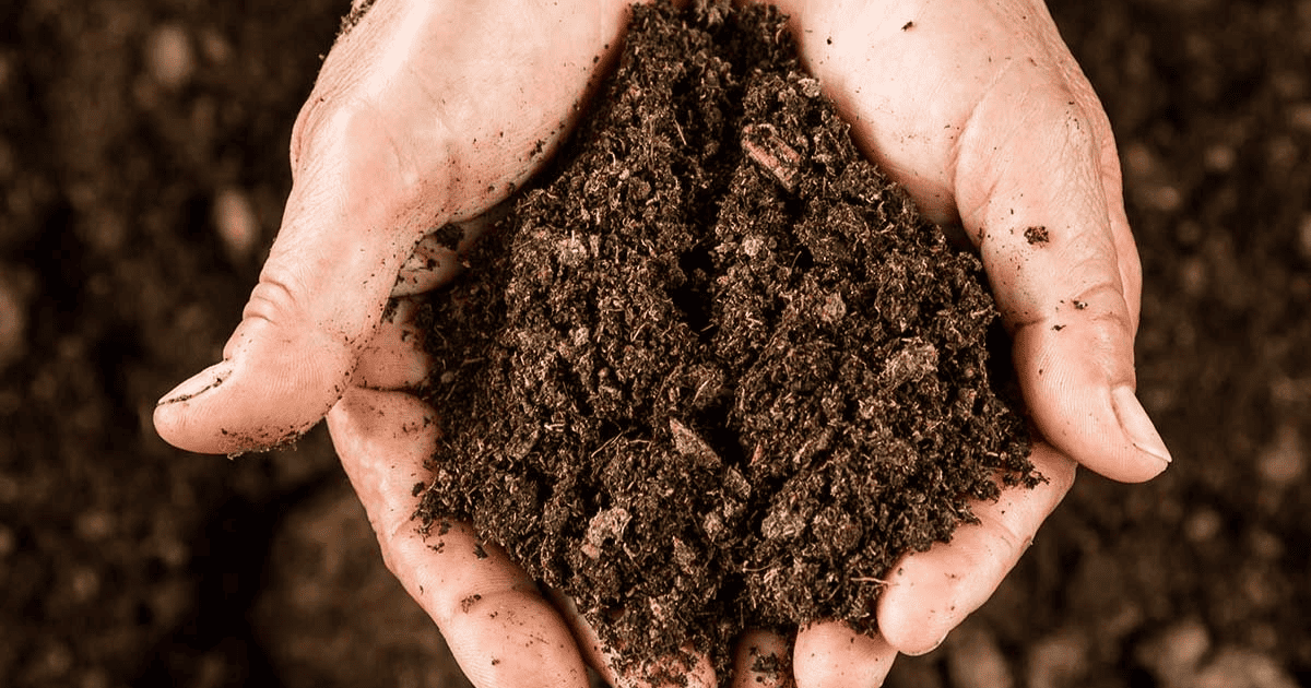 Prepare soil