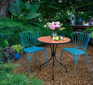 2 blue metal scroll chairs with matching table in a garden of Soft Caress Mahonia