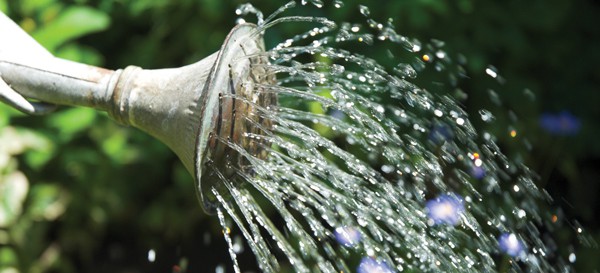 Think slow and deep when irrigating lawns and gardens. When water is applied too quickly, much is lost to runoff. Irrigating slowly allows water to soak into the ground. 