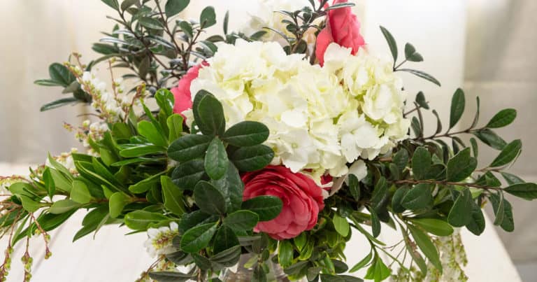 Pretty white, pink and green including Hydrangeas and Camellias