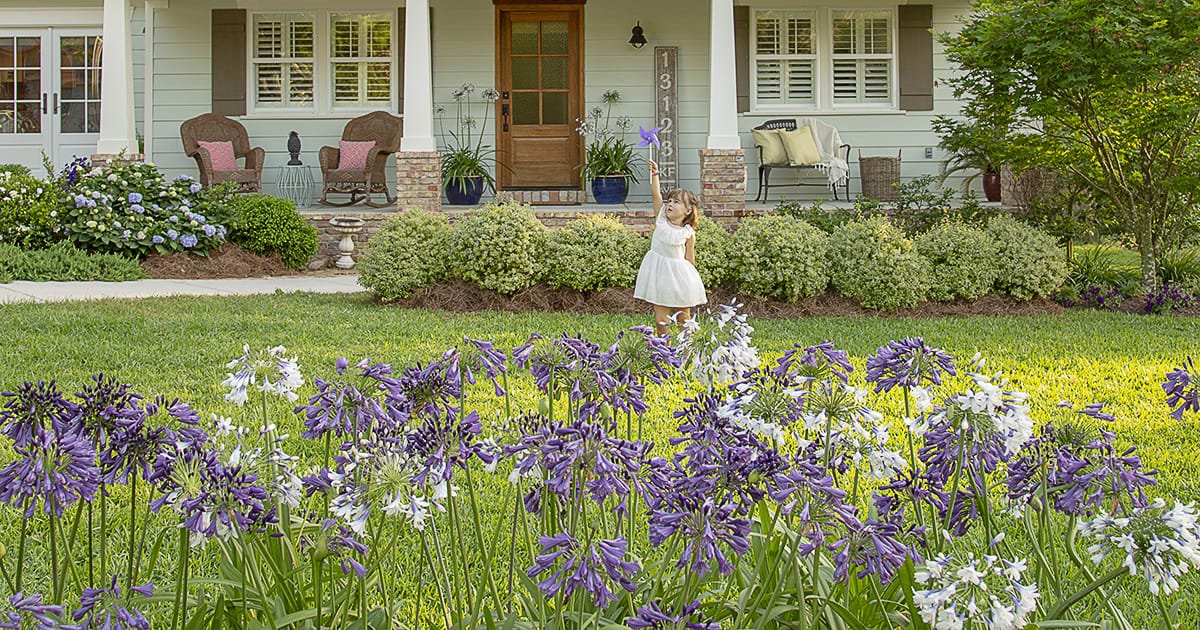 Child holding pin wheel in the air in home garden surrounded by Southern Living Agapanthus perennials