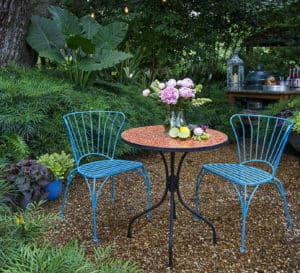 2 blue metal scroll chairs with matching table in a garden of Soft Caress Mahonia