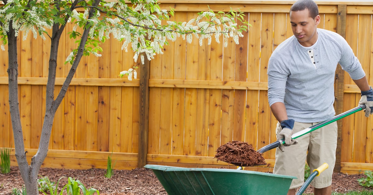 Man shoveling composted material out of green wheelbarrow