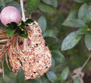Bird Feed with golden leaves and a pink glitter ball