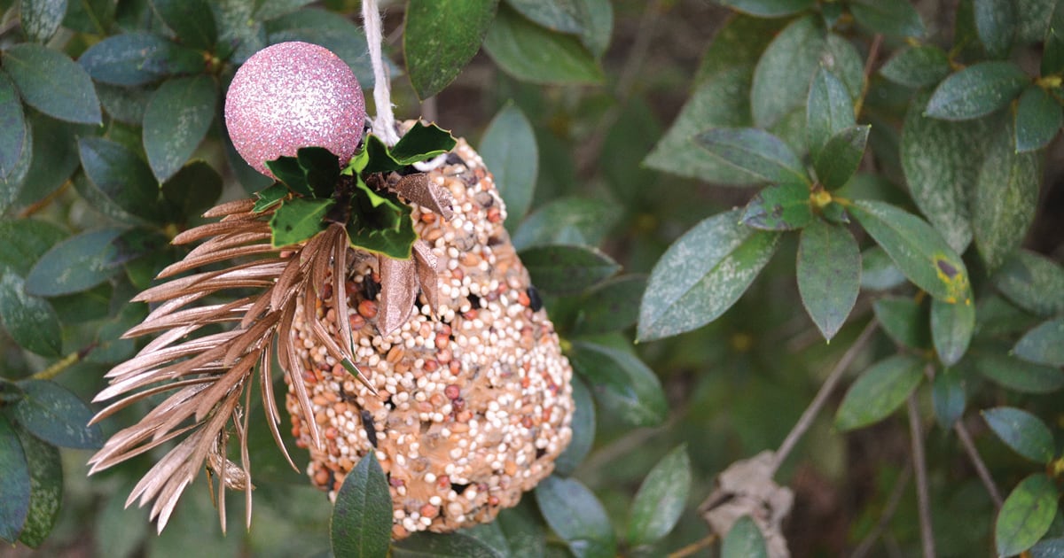 Bird Feed with golden leaves and a pink glitter ball