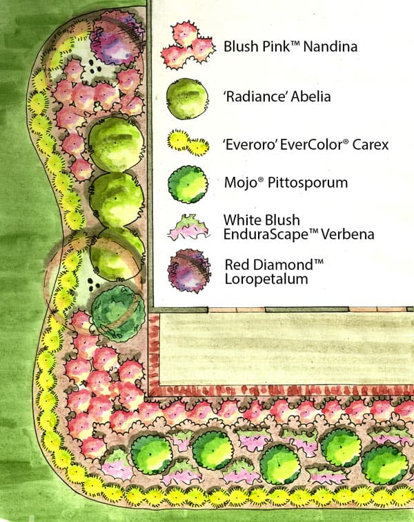 Framing Foliage Garden Plan featuring Blush Pink™ Nandina