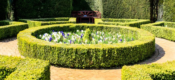 Boxwood as Focal Point 600x273px