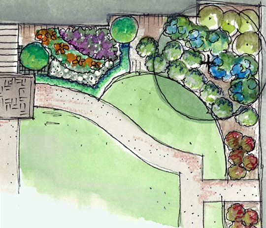 Landscape architect pencil drawing of landscape to be planted with Southern Living plants