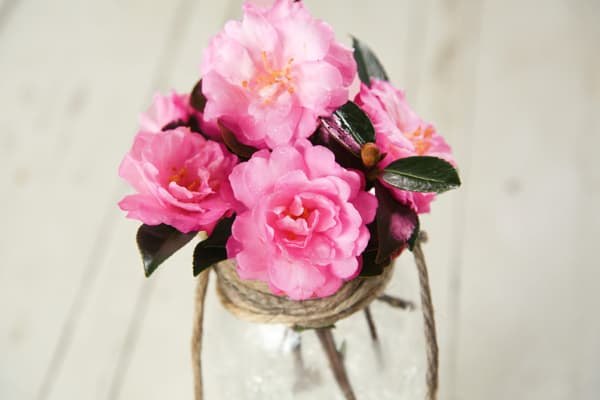 Camellias in Mason Jars Step 6