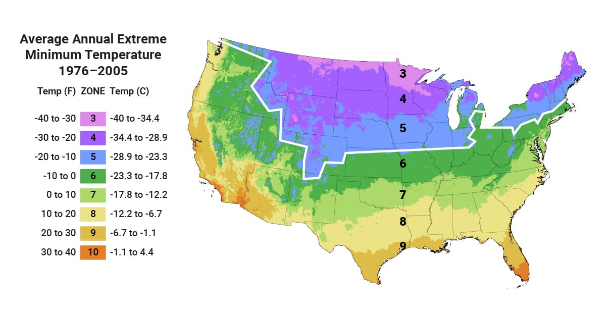 Tioir Zanov 12 Fall Planting Guide Zone 8B Images