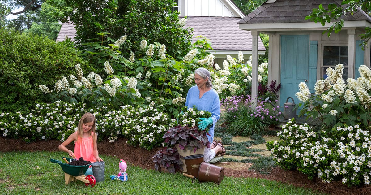 Lady planting white gardenias