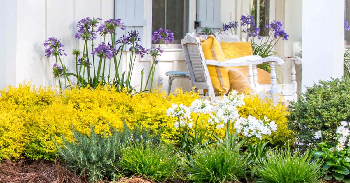 Yellow flowers with white rocking chair