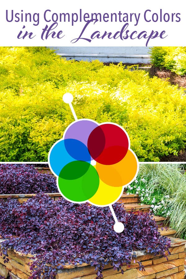 Eye Catching Combinations How To Employ Complementary Colors In The Landscape 600x900