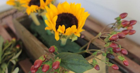 Large yellow sunflowers and coffee beans with brown centers pressed into floral foam in a wooden centerpiece