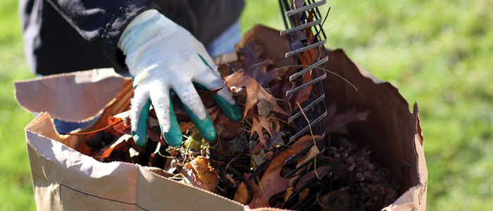 gloved hands raking up leaves