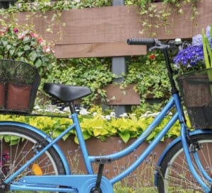 Blue bike in front of outdoor wall landscape