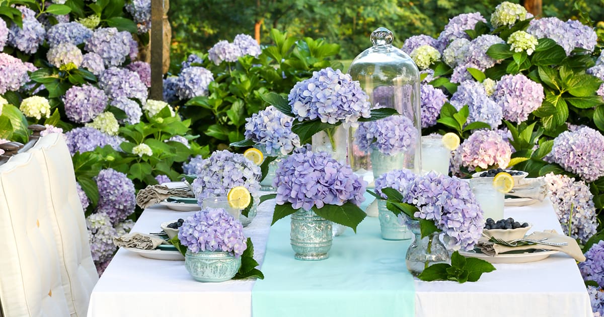Garden tablescape set for dinner with white tablecloth, blue runner and glassware