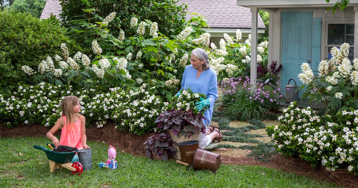 A girl hands her grandmother a gardenia stem while the grandmother plants a container of ScentAmazing Gardenia & Heucherella