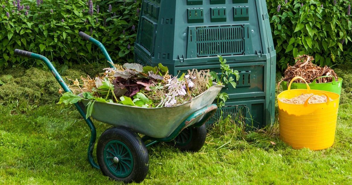 Green wheelbarrow full of kitchen and yard scraps parked next to a compost bin